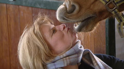 City Folk - Haag, 2011