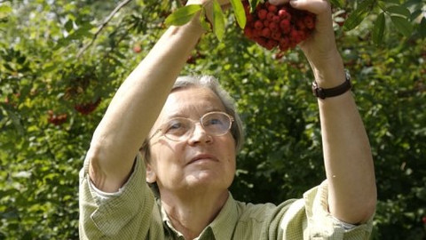 Vzkaz - Vzkaz Hany Librové