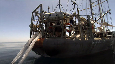 Expedice Tara Oceans - 3/4 Velké bujení