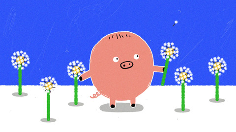 Naše prasátko - 24/52 Pampeliška