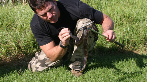 60 zvířecích zabijáků - Epizoda 4/20