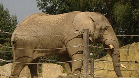 Reportéři ČT - 9. října 2006