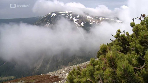 Minuty z přírody - V područí mrazu a ledu