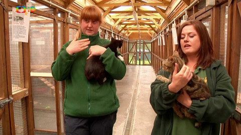 Cestohrátky - Ostrov Man