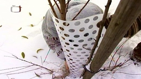 Zahrada je hra - 7. února 2008