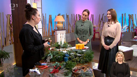 Sama doma - 19. listopadu 2021