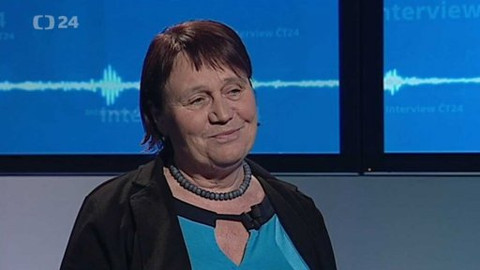 Interview ČT24 - 9. června 2015