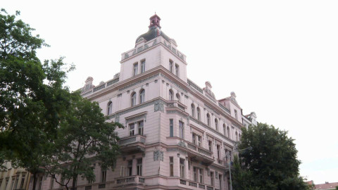 Černé ovce - 28. listopadu 2024