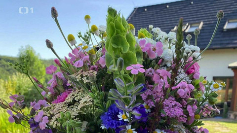 Co naše babičky uměly a na co my jsme zapomněli - Kytice pro radost