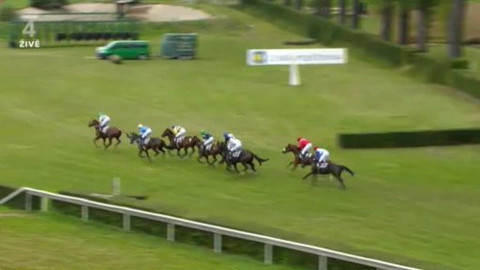 Jezdectví - Velká cena Bargiela