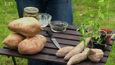 Polopatě - 14. května 2017