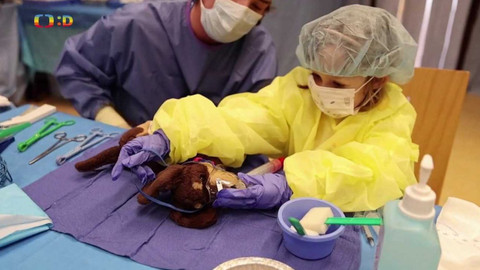 Zprávičky - 14. března 2023