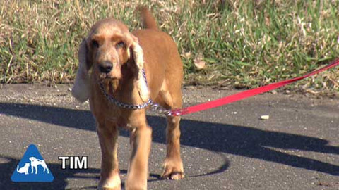 Chcete mě? - Chcete je?