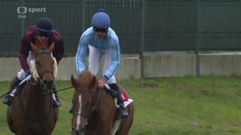 Dostihy - Cena zimní královny