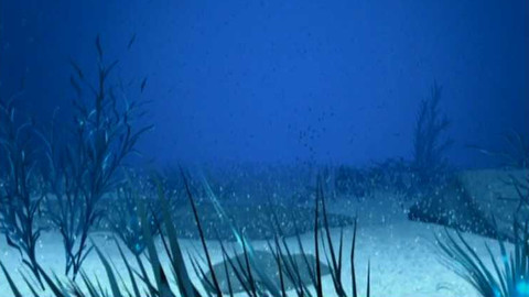 Popularis - 3. ledna 2006