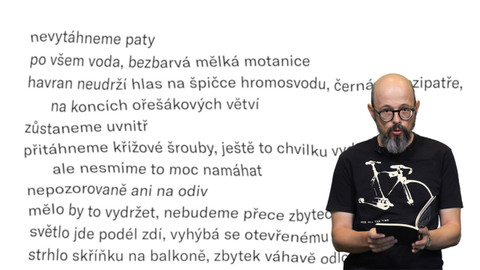 Jedna báseň - Petr Čermáček