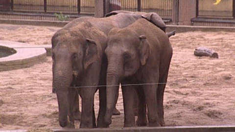 Reportéři ČT - 17. července 2006