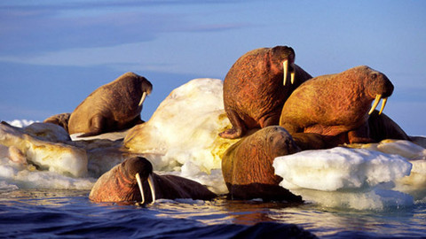 Ushuaia - 23/26 Kouzlo dalekého severu