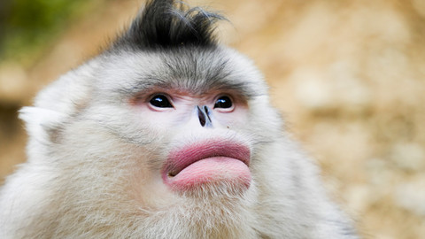 Asie - 2/7 Nad oblaky