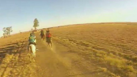 Jezdectví - Mezinárodní závody v jezdecké vytrvalosti