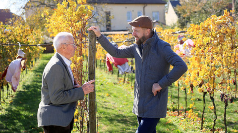 Krajinou vína - 10/10 Cabernet Moravia