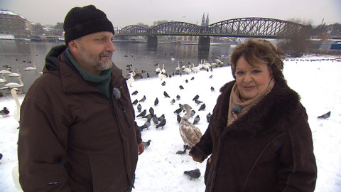 Hobby naší doby - 11. února 2017