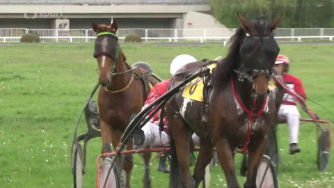 Dostihy - Velká cena primátora hlavního města Prahy