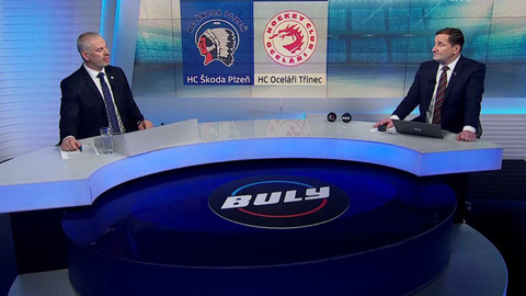 Buly hokej - Buly - souhrn