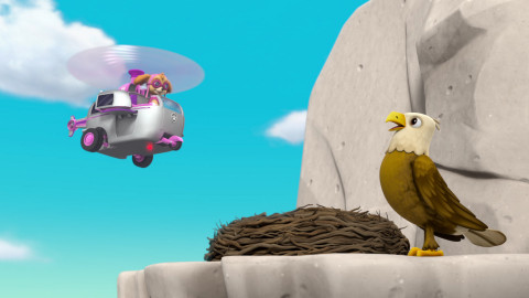 Tlapková patrola - Hvězdné tlapky / Tlapky zachraňují sportovní den