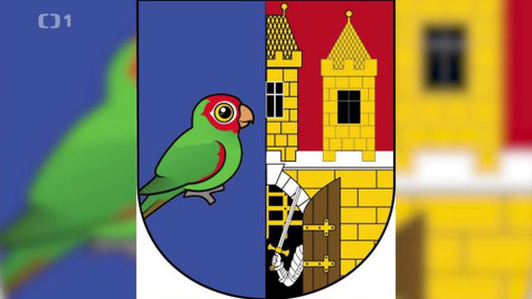 Z metropole - 7. prosince 2019