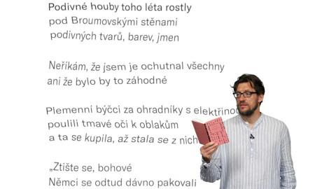 Jedna báseň - Radek Malý