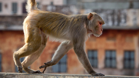 Planeta Země - 6/6 Města