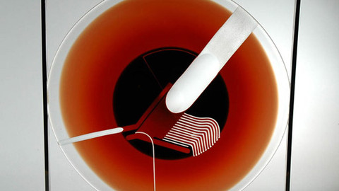 Kultura.cz - 29. září 2012