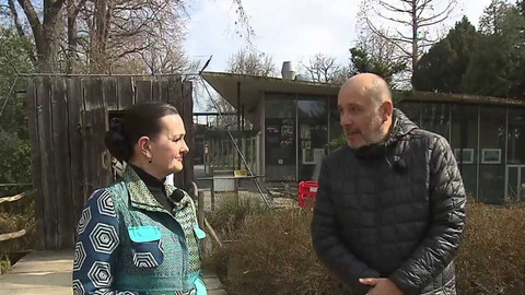 Studio 6 víkend - 29. března