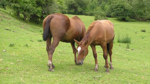 Reportéři ČT - 23. května 2005