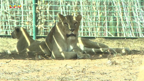 Zprávičky - 26. října 2024