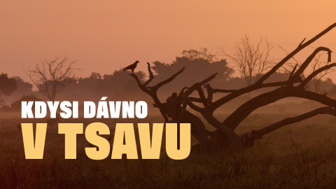 Kdysi dávno v Tsavu