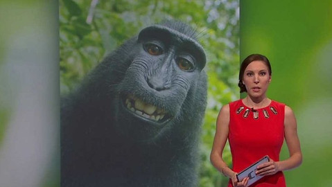 Horizont ČT24 - 12. září 2017