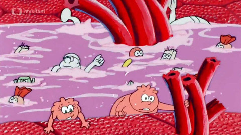 Byl jednou jeden život - 6/26 Krevní destičky