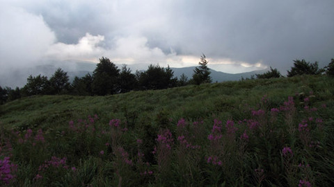 Divočina bez hranic - 7/13 Bieszczadzki Park Narodowy