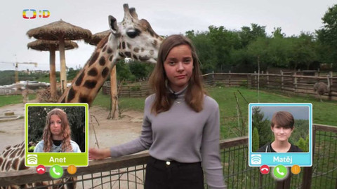 Wifina - 2. října 2020