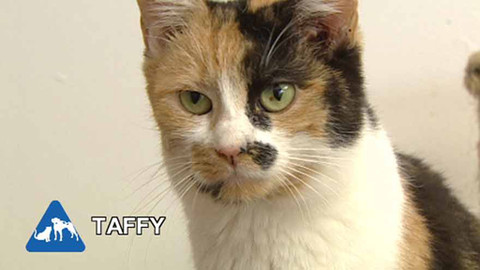 Chcete mě? - Chcete je?