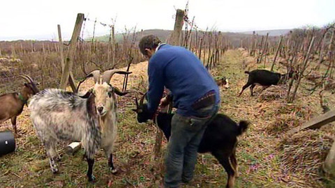 Kvarteto - 23. ledna 2013