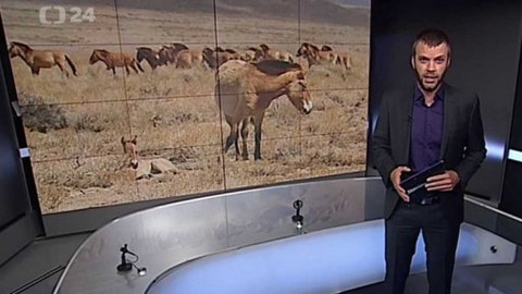 Horizont ČT24 - 10. července 2015