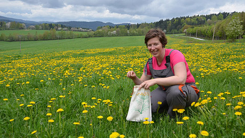Malá farma - Přeštické masíčko