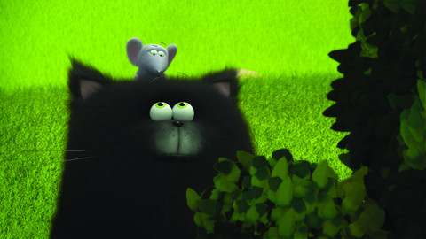 Splat & Harry - 22/52 Kočičí hra