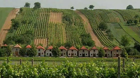 Vinařství v Čechách a na Moravě - Epizoda 4/5