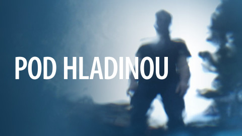 Pod hladinou