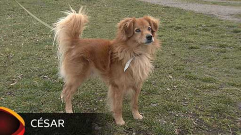 Chcete mě? - Chcete je?