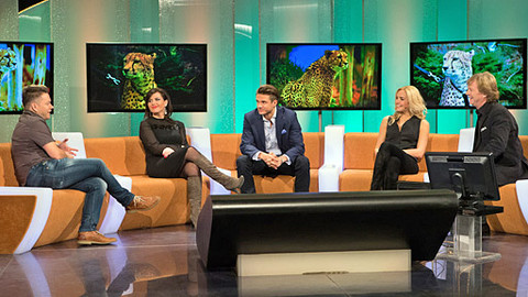 Zázraky přírody - 1. března 2014